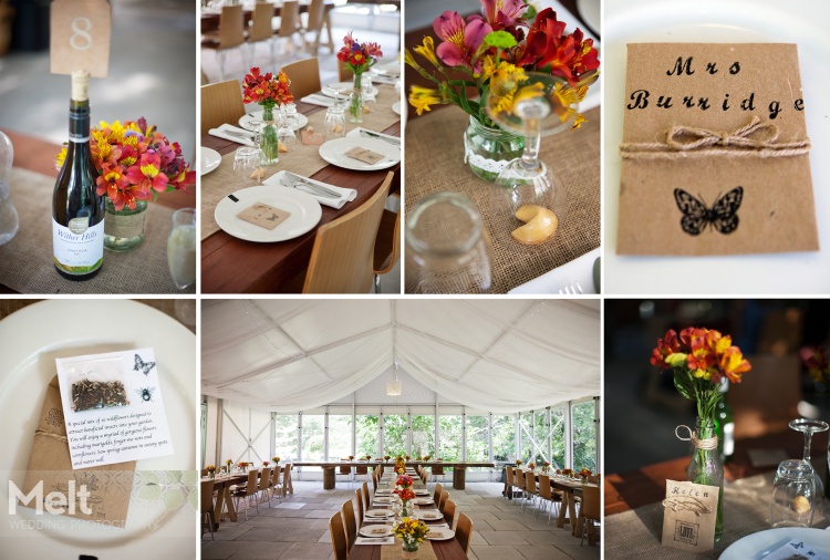 A&B Wedding_5161-2shp multi2.jpg